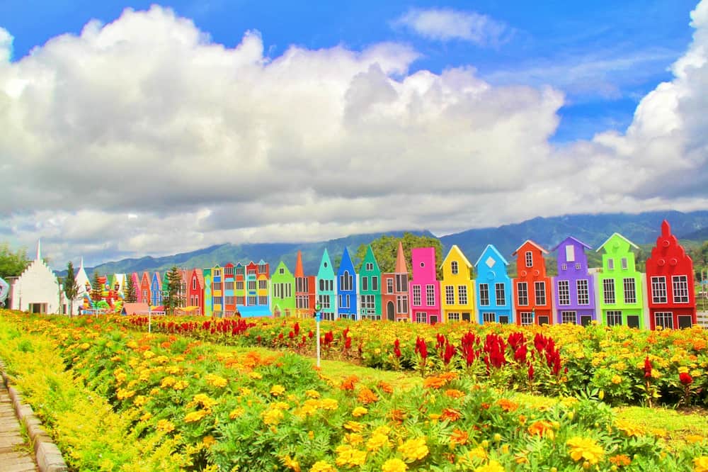 Indahnya Florawisata San Terra de Lafonte Malang dengan Bunga yang Warna-Warni