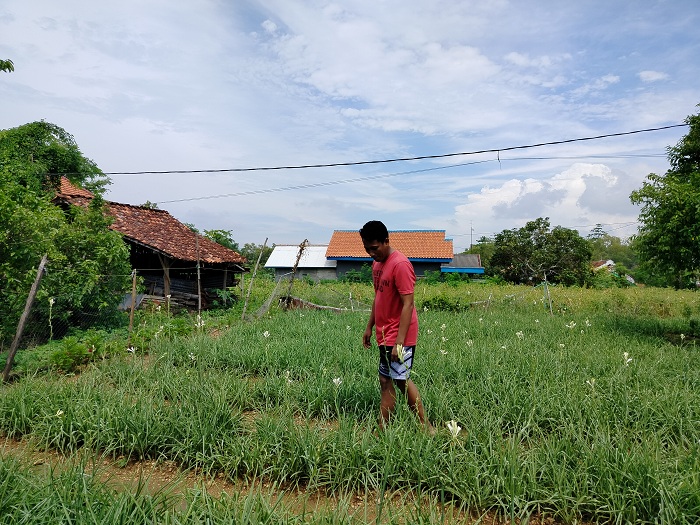 SANTAI: Moh. Taufik mengecek tanaman bunga sedap malam di lahan yang terletak di Kelurahan Kowel, Pamekasan, Sabtu (24/2). (LAILIYATUN NURIYAH/JPRM)