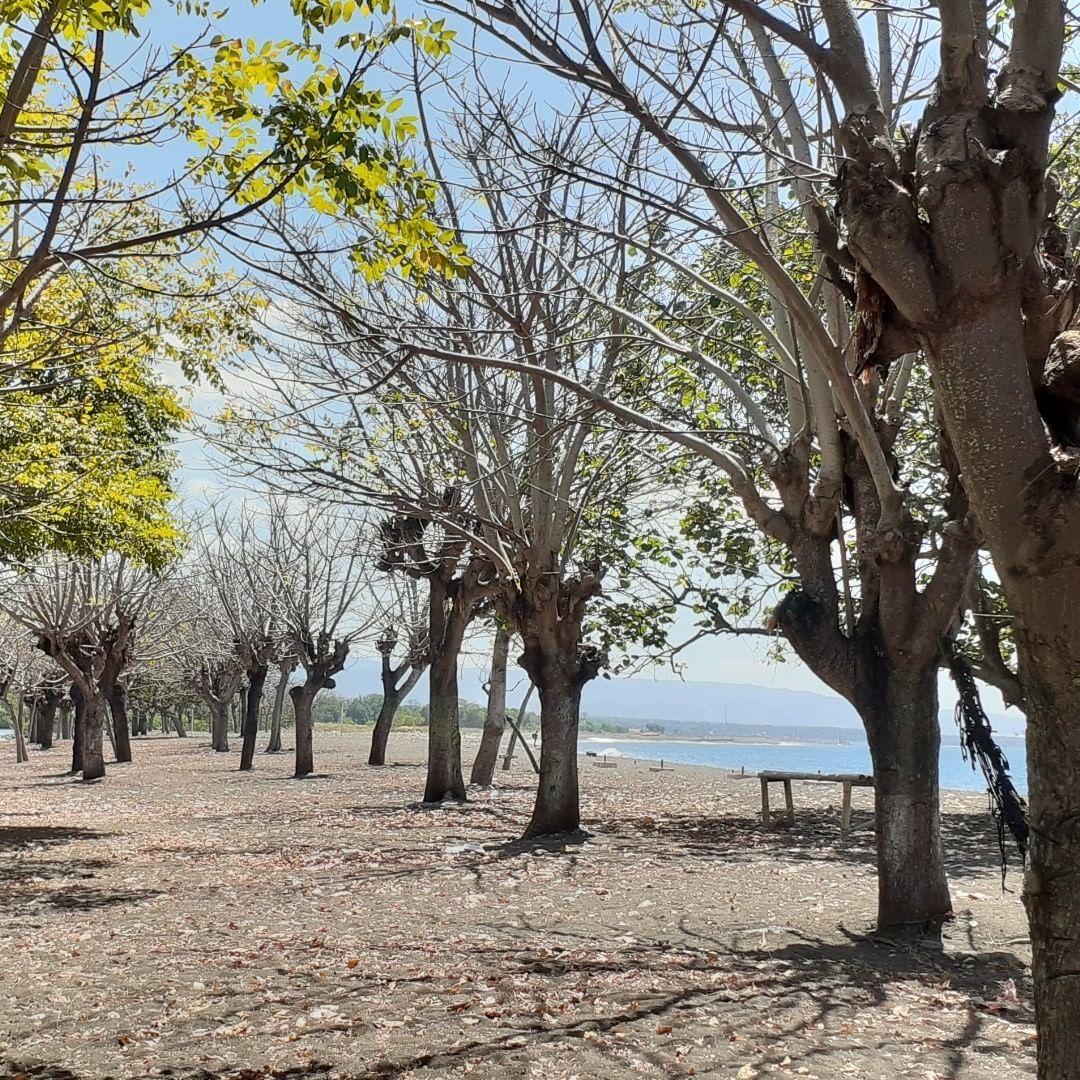 Pesona Pantai Pulau Santen Banyuwangi yang Indah
