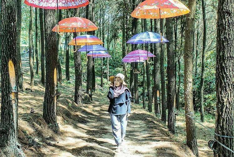 Pengunjung sedang berpose sambil menikmati suasana Wisata Bukit Pinus Wonosalam Jombang