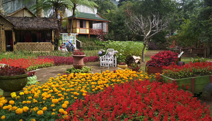 Pesona Bunga Wisata Melrimba Garden Bogor