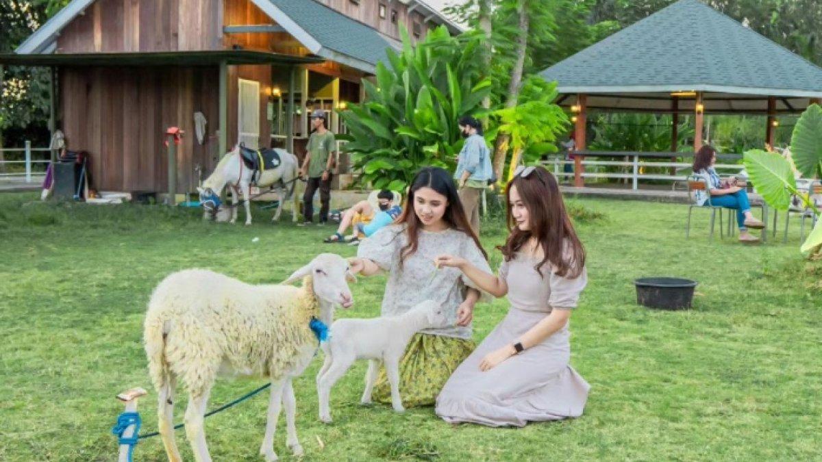 Pengunjung Sedang Bermain-main di Obelix Village Jogja