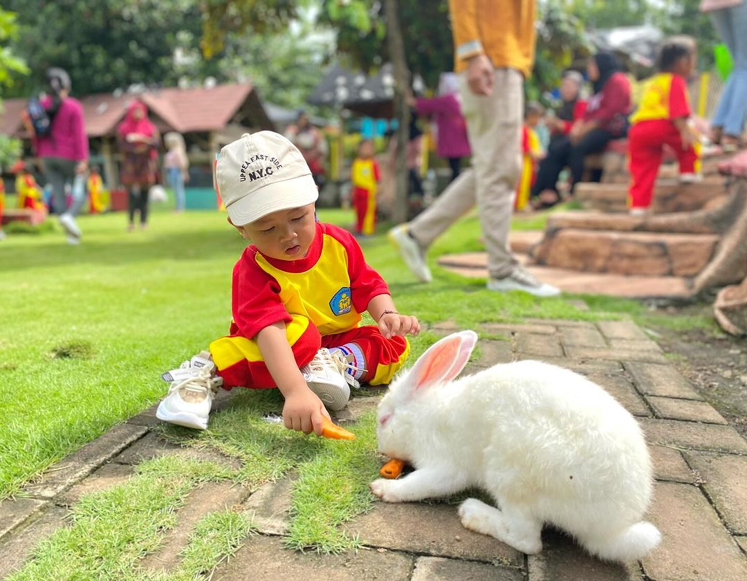 Anak Kecil Sedang Memberi Makan Kelinci di Taman Kelinci Pacet Mojokerto