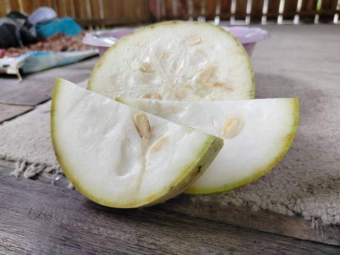 SIAP KONSUMSI: Buah labu air muda siap dikonsumsi sebagai sayur atau jadi jamu. (LAILIYATUN NURIYAH/JPRM)