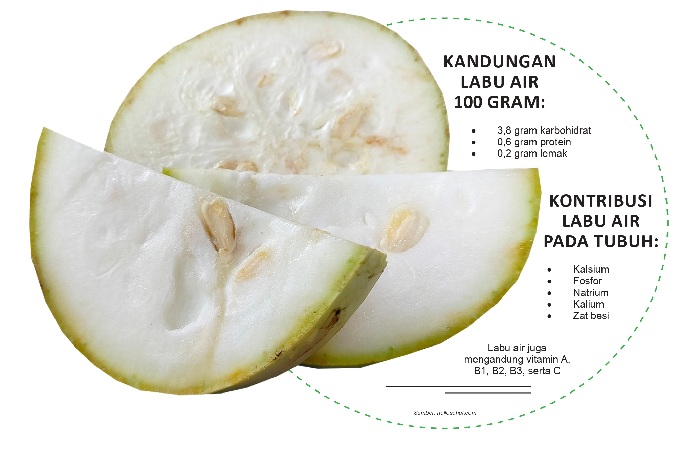 Grafis Kandungan Labu Air. (DINA/JPRM)