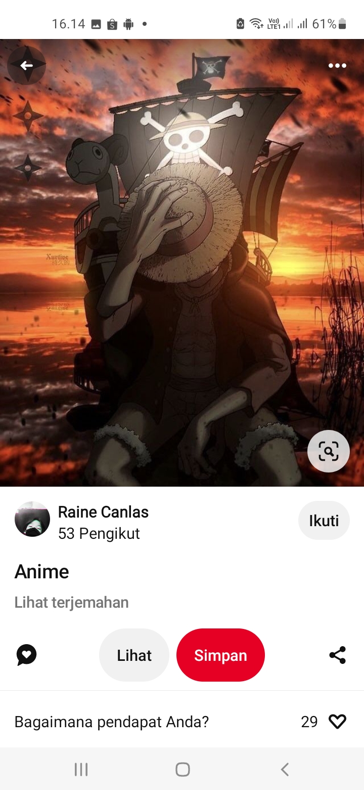 Monkey D