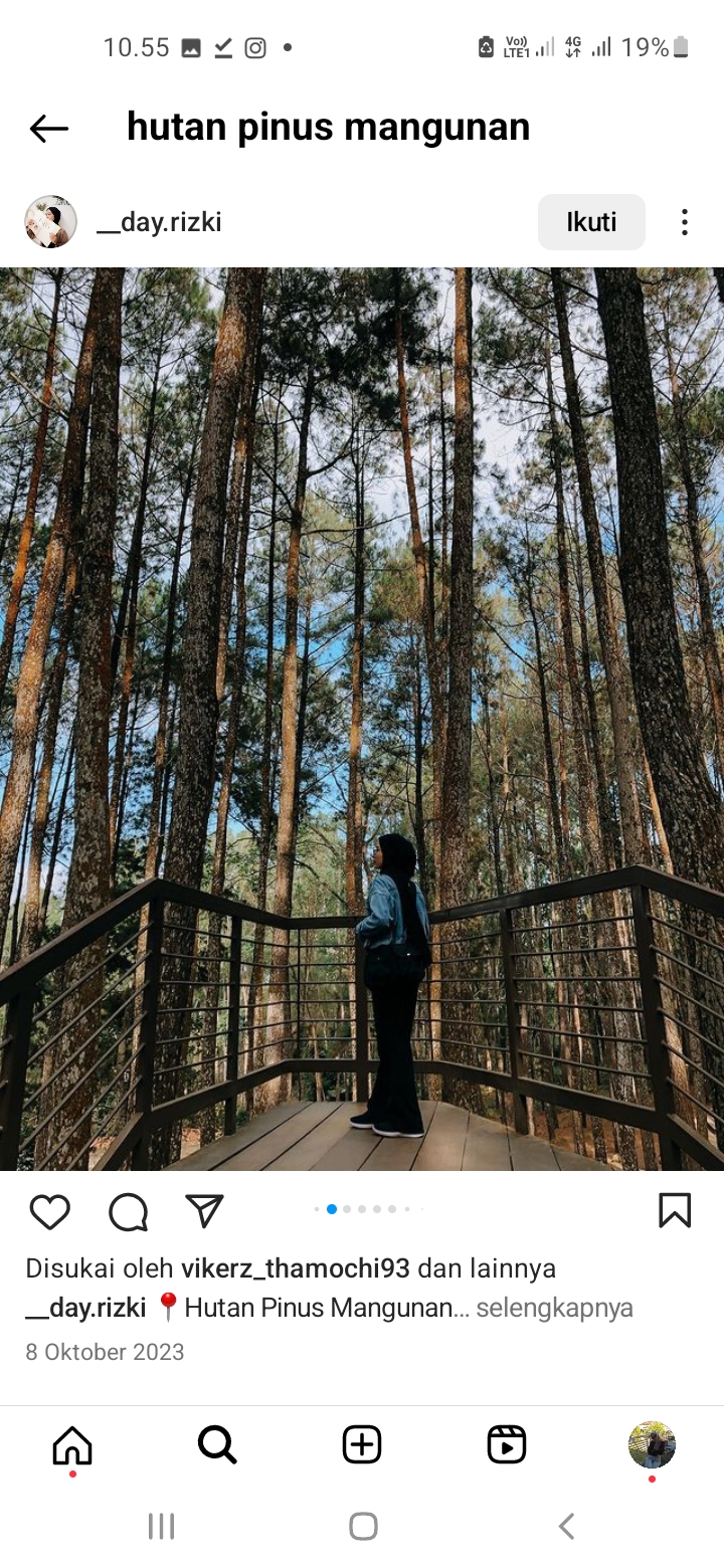 Wisata Hutan Pinus Mangunan