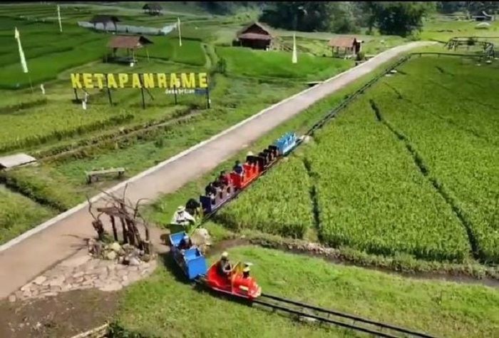 Salah Satu Wahana Asyik di Wisata Sawah Sumber Gempong Mojokerto