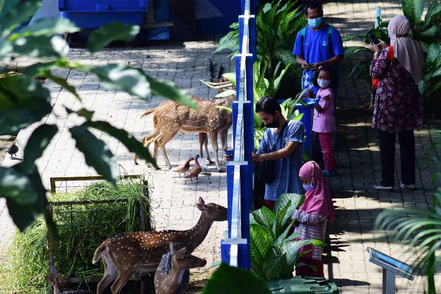 Taman Flora: Salah Satu Wisata Surabaya yang Cocok untuk Libur Lebaran