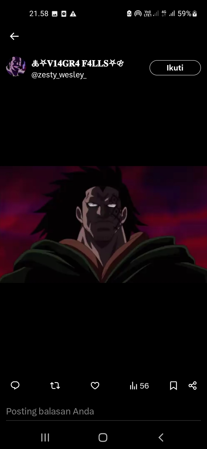 Monkey D. Dragon One piece