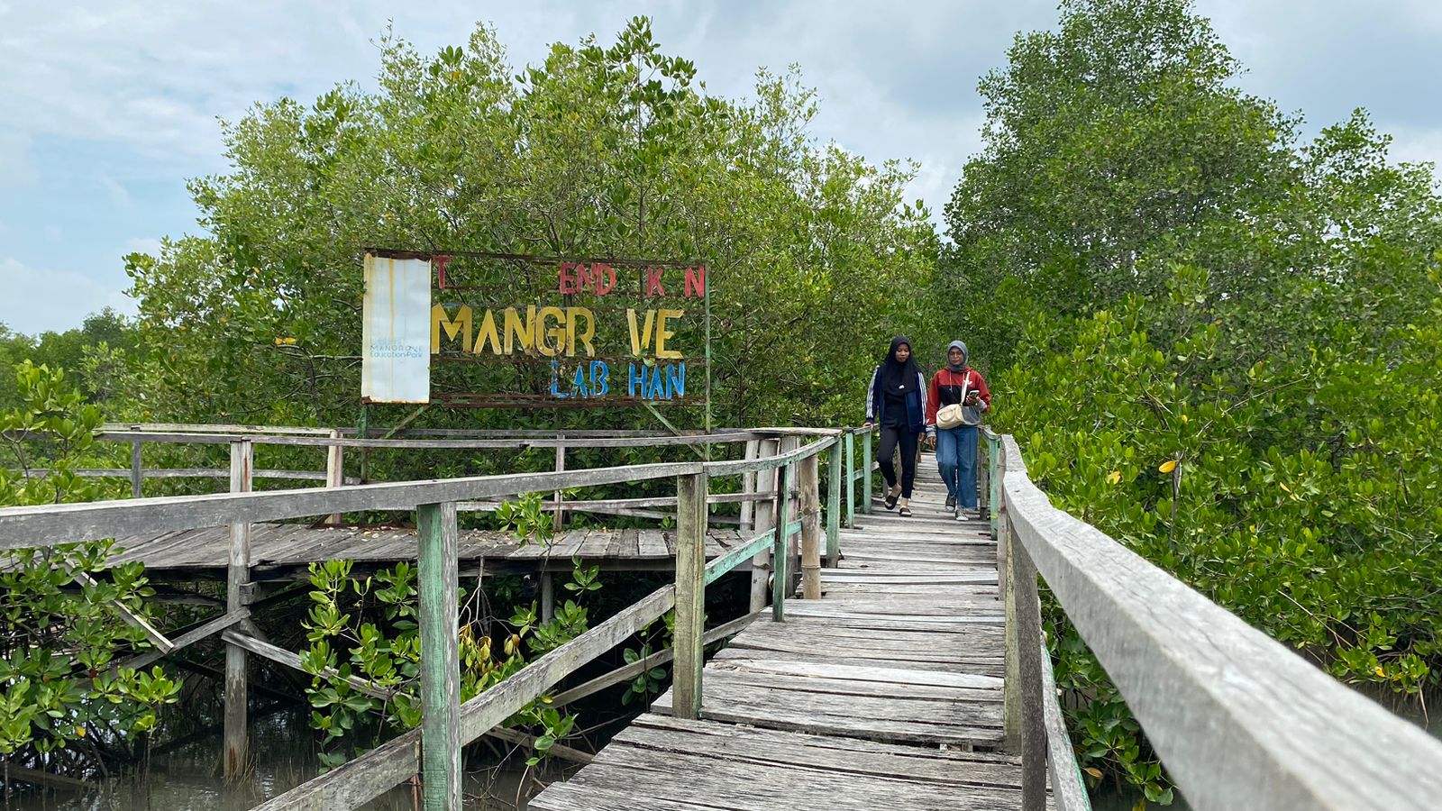 JEMBATAN KAYU: Seorang mahasiswi berjalan di jalur tracking wisata Taman Pendidikan Mangrove di Labuhan, Kecamatan Sepulu, Bangkalan, Jumat (5/4). (AYU LATIFAH/JPRM)