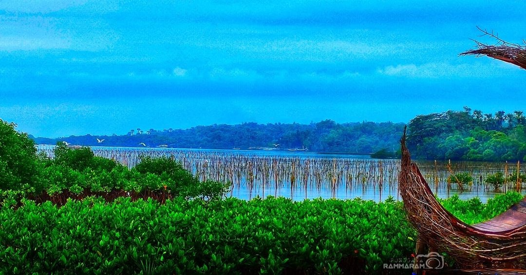 INDAH: Tampak keindahan alam Ekowisata Mangrove Kedatim di Kecamatan Saronggi, Sumenep. (AJI SUHARTO UNTUK JPRM)
