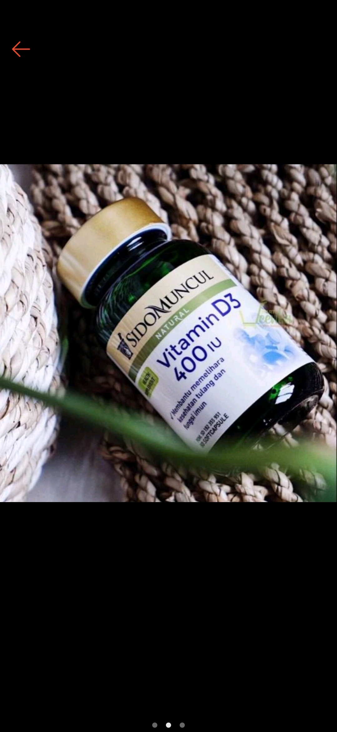 Natural Vitamin D3 400 IU