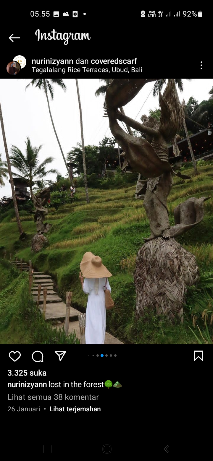 Wisata Tegalalang Rice Terrace, Bali
