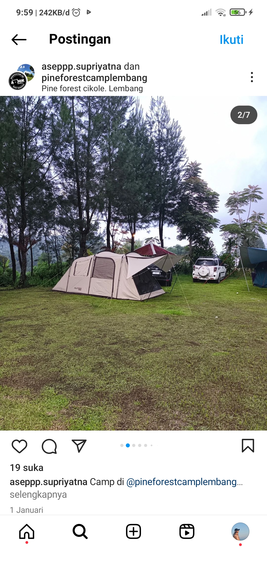Nikmati keindahan alam di  Pine Forest Camp Lembah