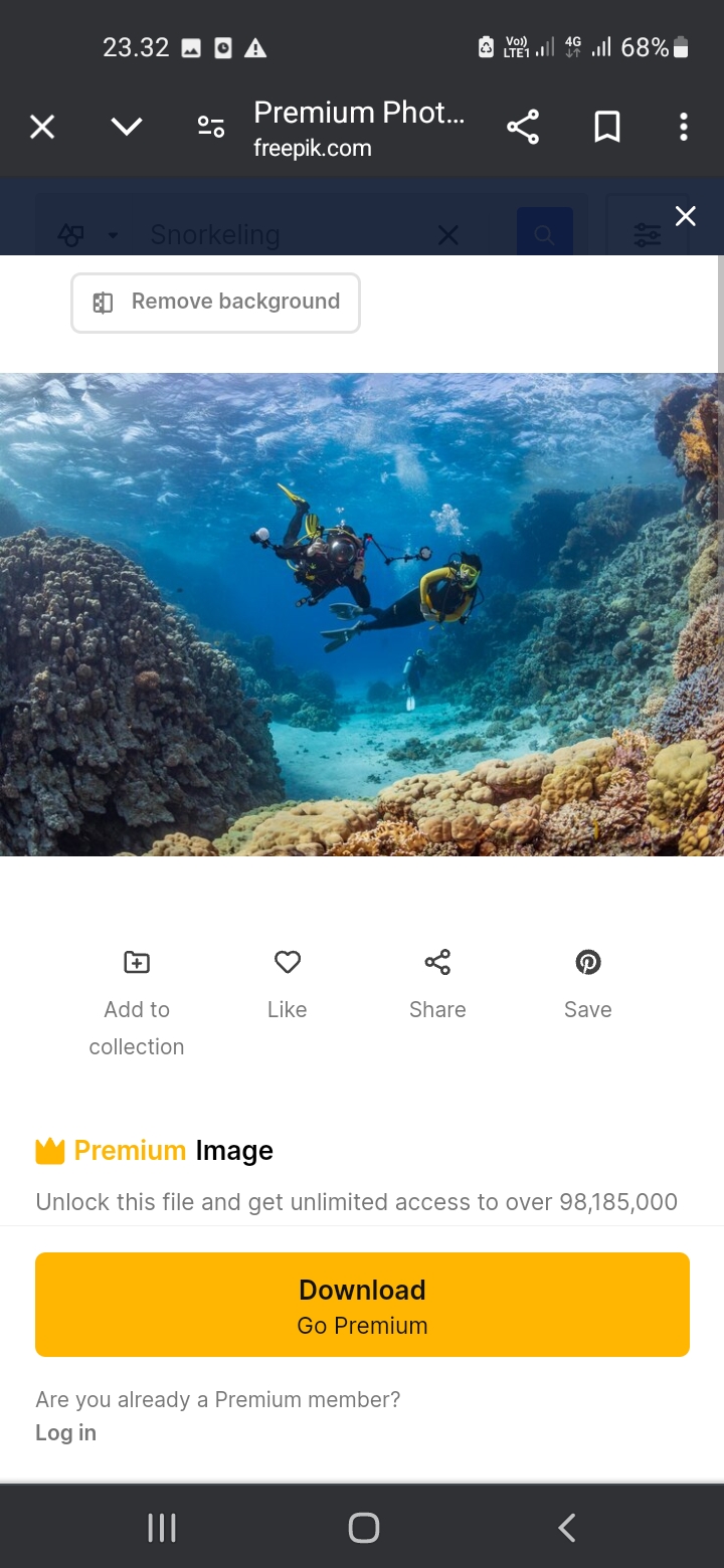 Kegiatan Snorkeling