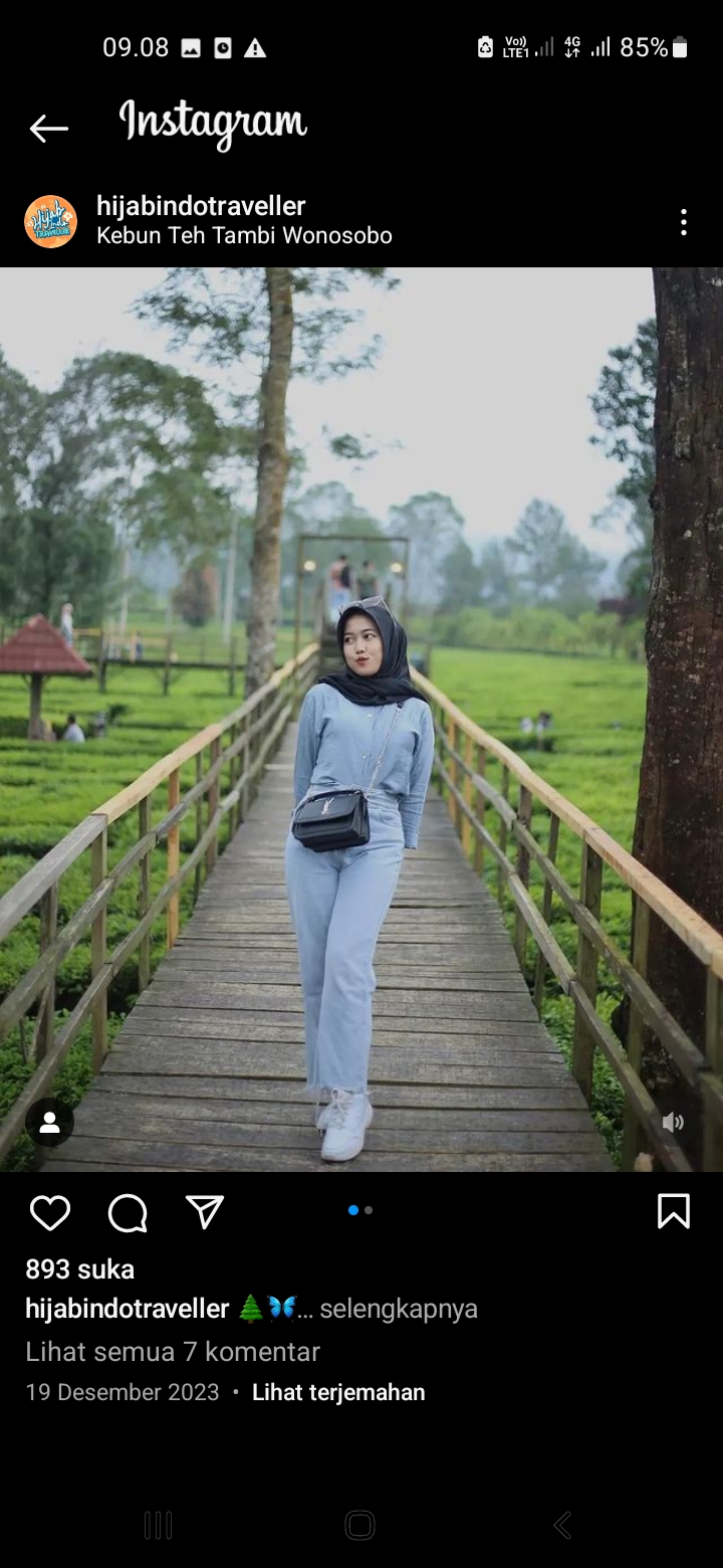 Kebun Teh Sikatok, Wonosobo