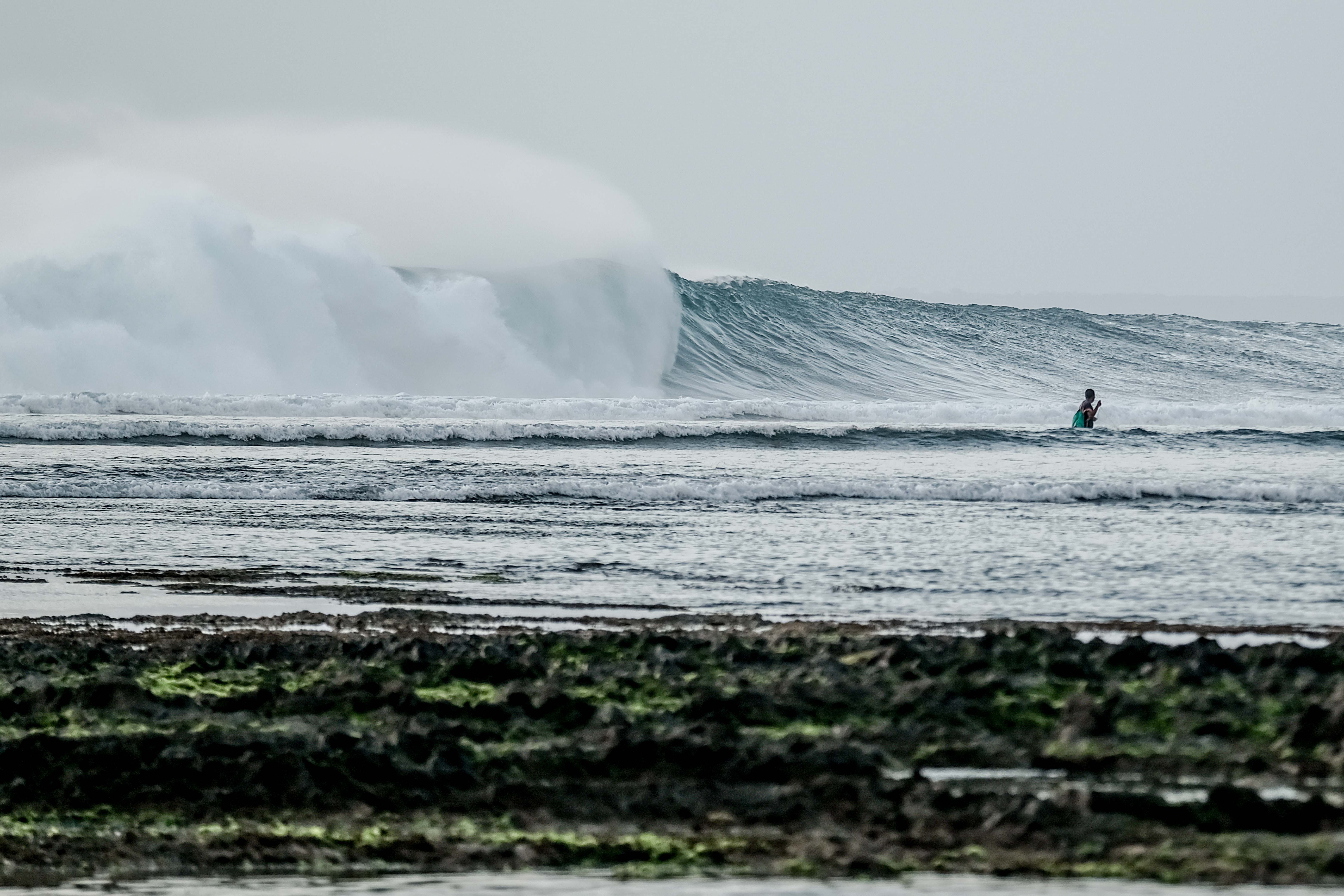 Pesona ombak Pantai Plengkung Taman Nasional Alas Purwo Banyuwangi