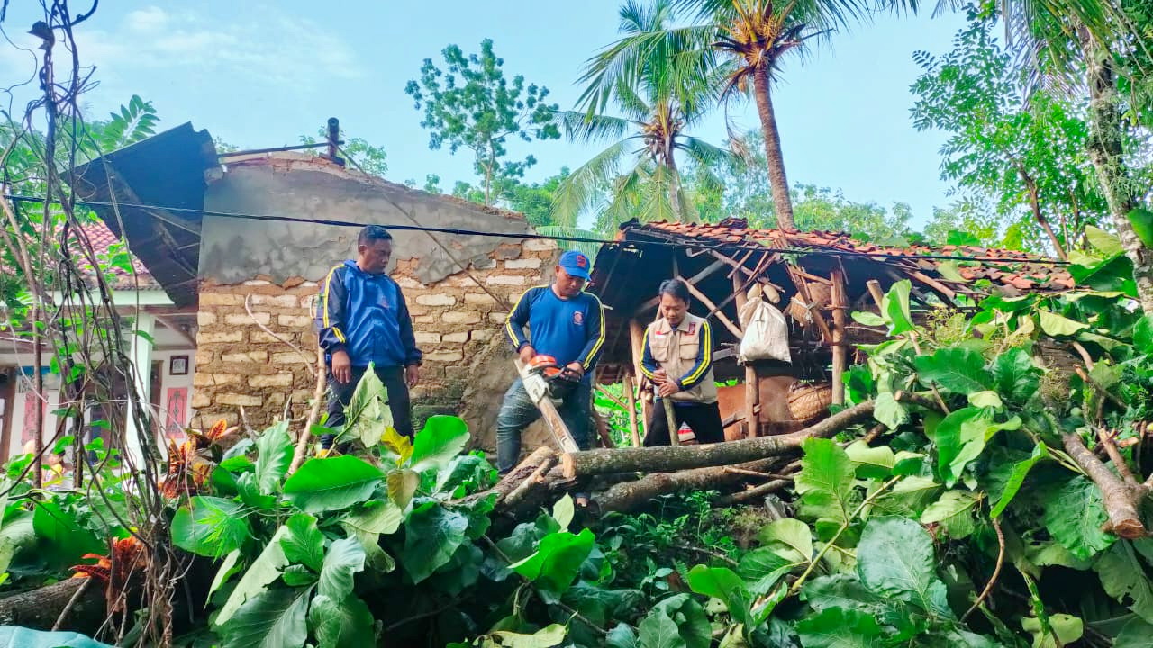 EVAKUASI: Personel Tagana sedang memotong pohon roboh usai angin kencang di Desa Kertagena Tengah, Kecamatan Kadur, Pamekasan, Rabu (14/2). (LAILIYATUN NURIYAH/JPRM)