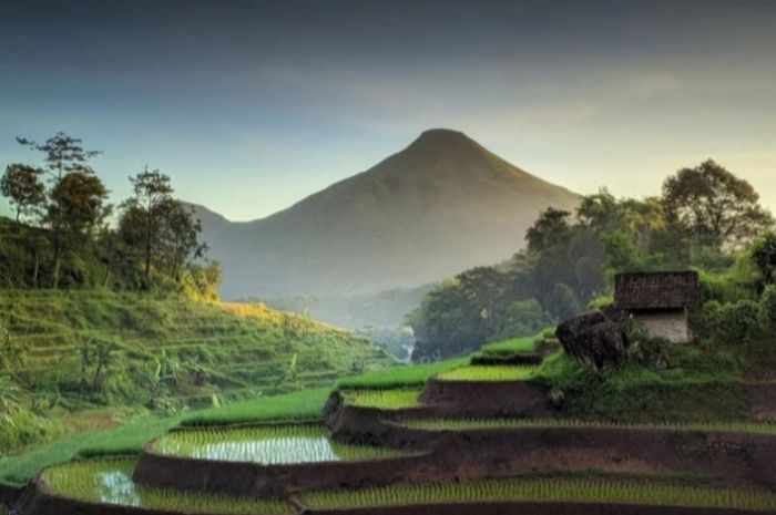 Potret Salah Satu Wisata Eksotis Trawas Mojokerto