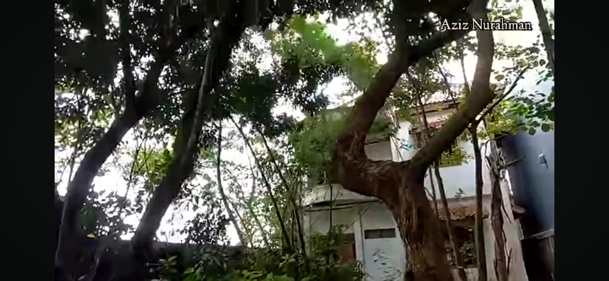 Wisma Ami atau Wisma Erni