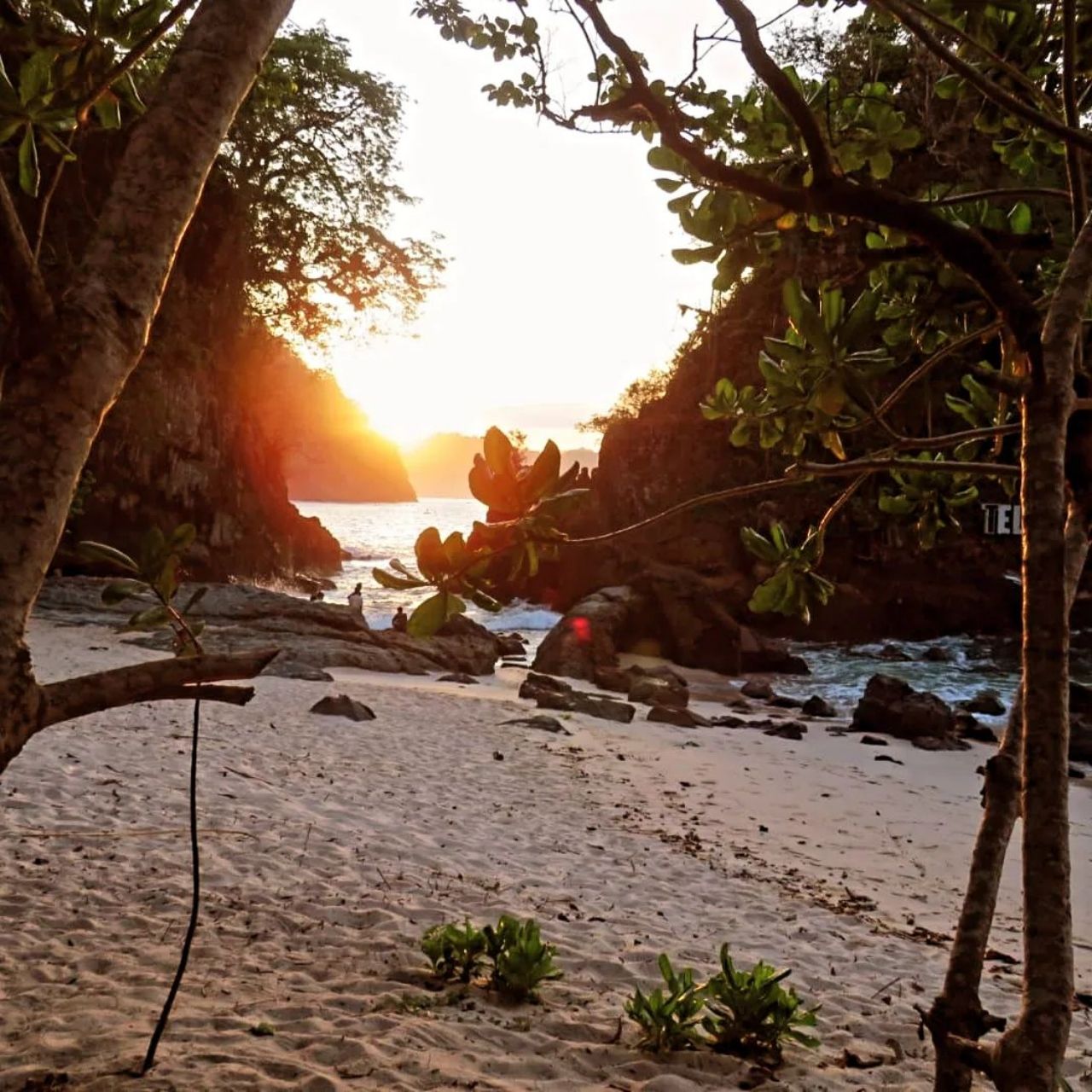 Pantai Teluk Hijau Banyuwangi, sebuah surga tersembunyi yang masih memegang erat keperawanannya.