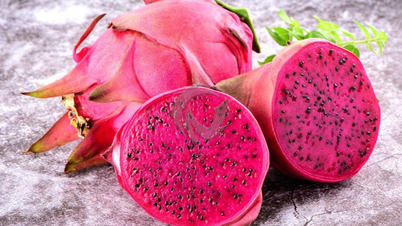 Manfaat buah naga merah untuk kesehatan