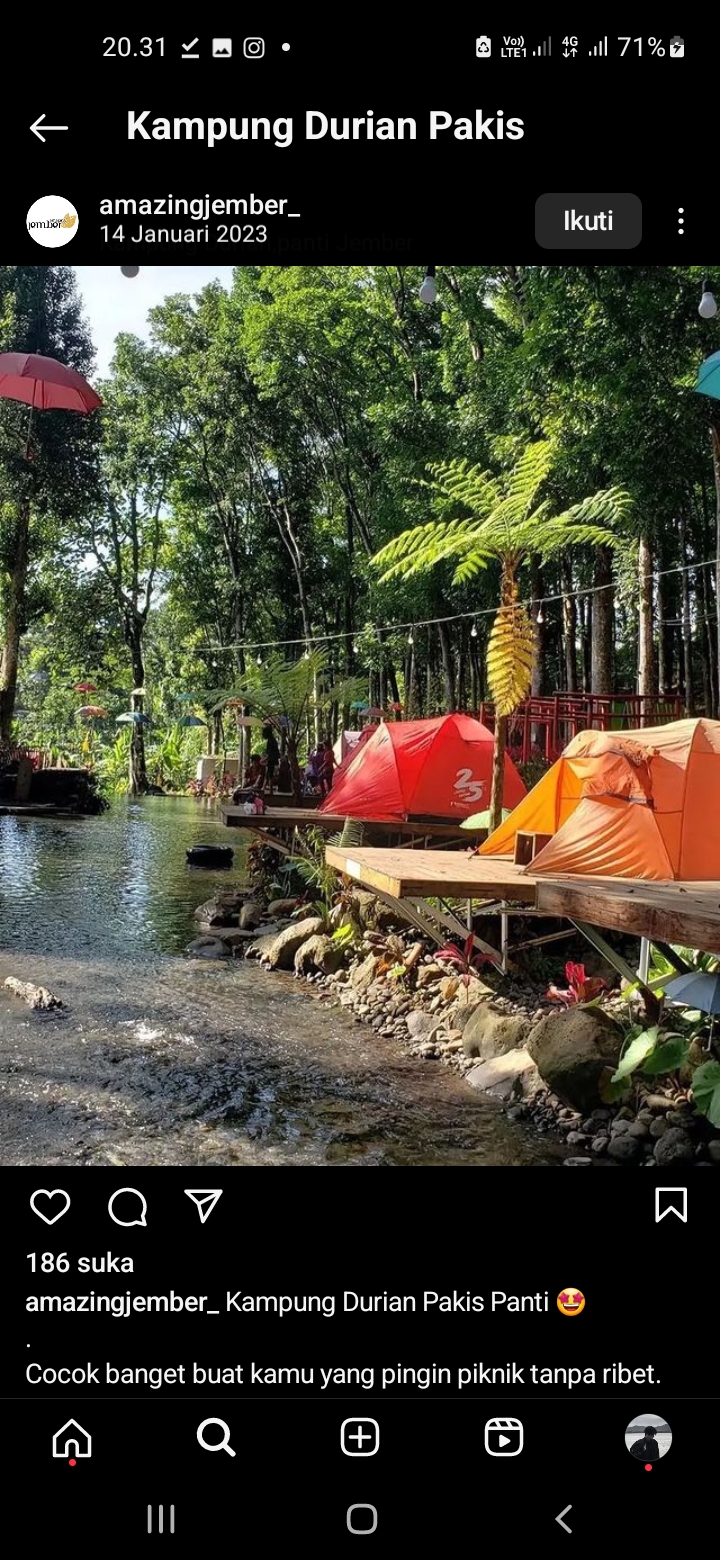 Kampung Durian Pakis, Jember