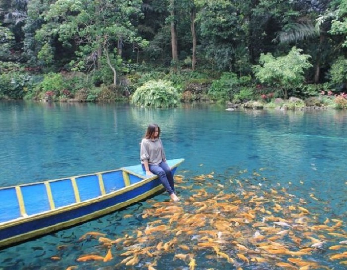 Ilustrasi Sendang Lele Sukoharjo dan Ikan Ajaib