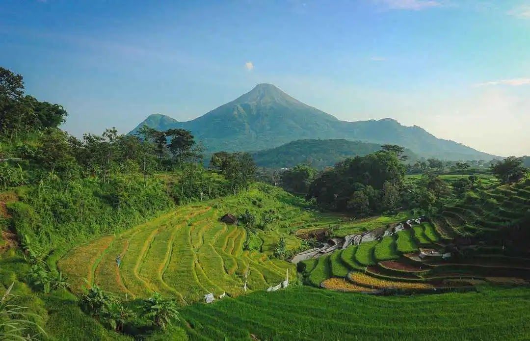 Potret Indah Pemandangan Terasiring Selotapak Trawas Mojokerto