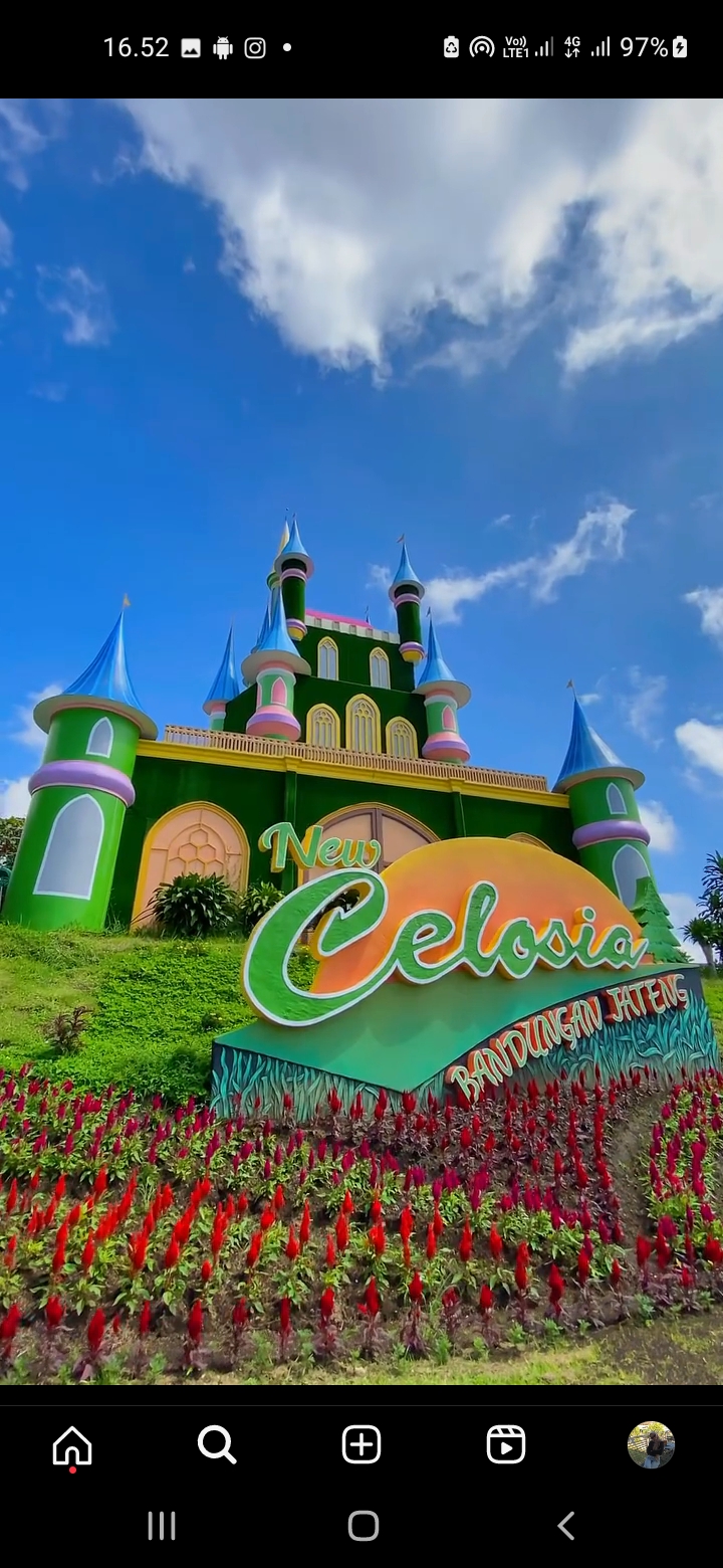 Wisata New Celosia