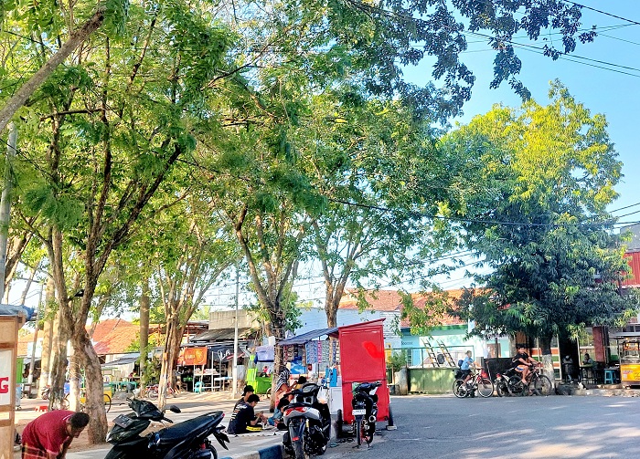 RINDANG: Warga berada di sekitar pepohonan yang tumbuh di Alun-Alun Trunojoyo, Sampang, Senin (20/5). (JUNAIDI PONDIYANTO/JPRM)