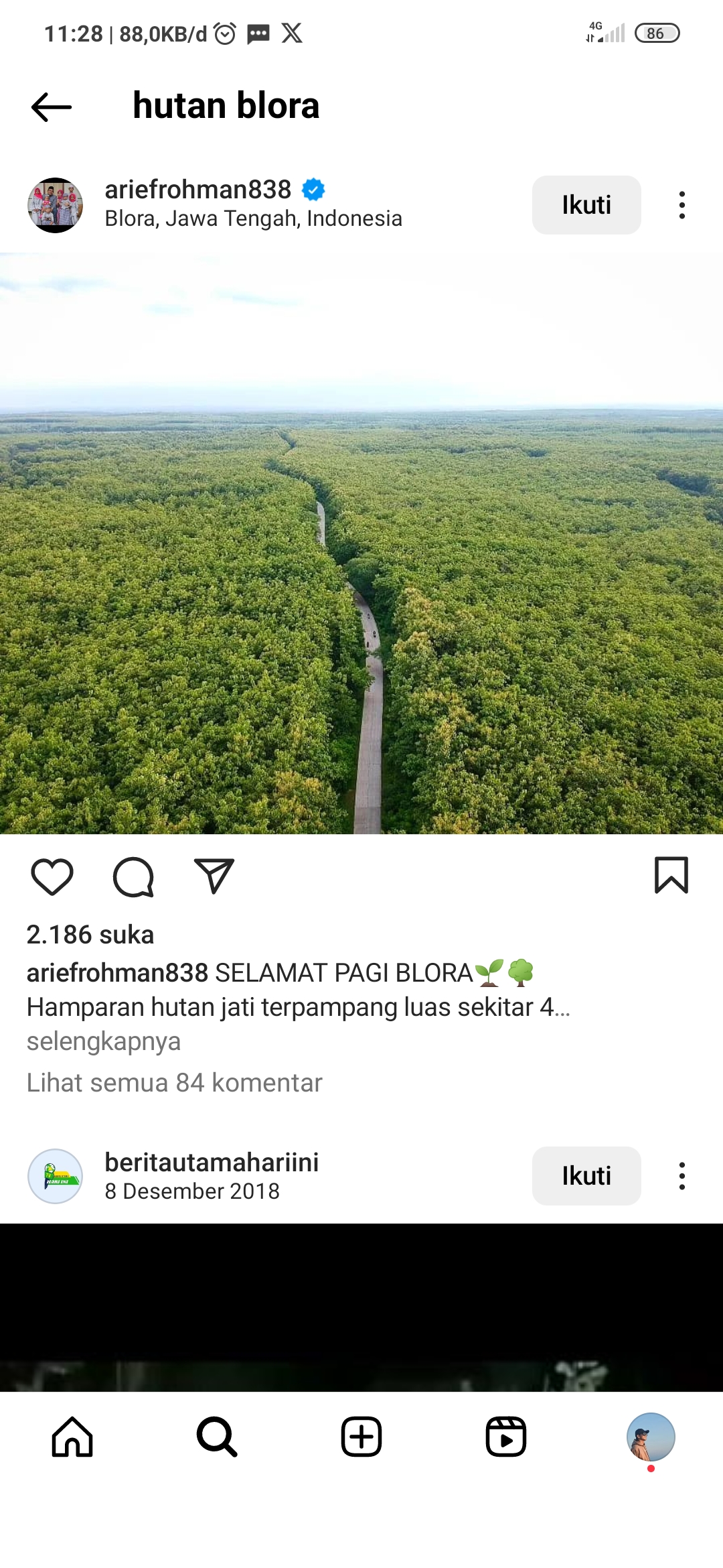 Keindahan Hutan Blora yang menyimpan misteri