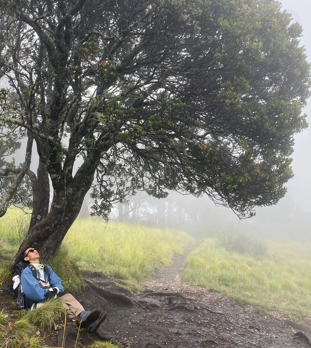 Ilustrasi Pasar Setan Gunung Lawu Jawa Timur