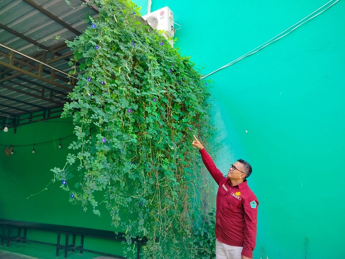 TUMBUH: Amir Chamdani menunjukkan tanaman bunga telang di samping rumahnya di Jalan Teja, Kelurahan Laden, Pamekasan, Sabtu (25/5). (LAILIYATUN NURIYAH/JPRM)