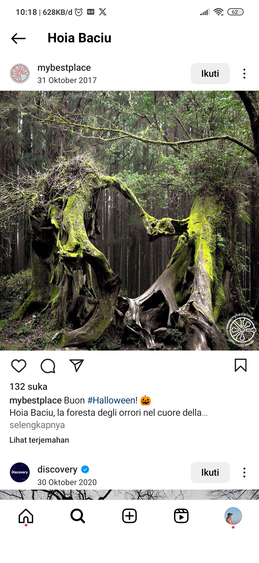Hutan Hoia Baciu yang terkenal horor