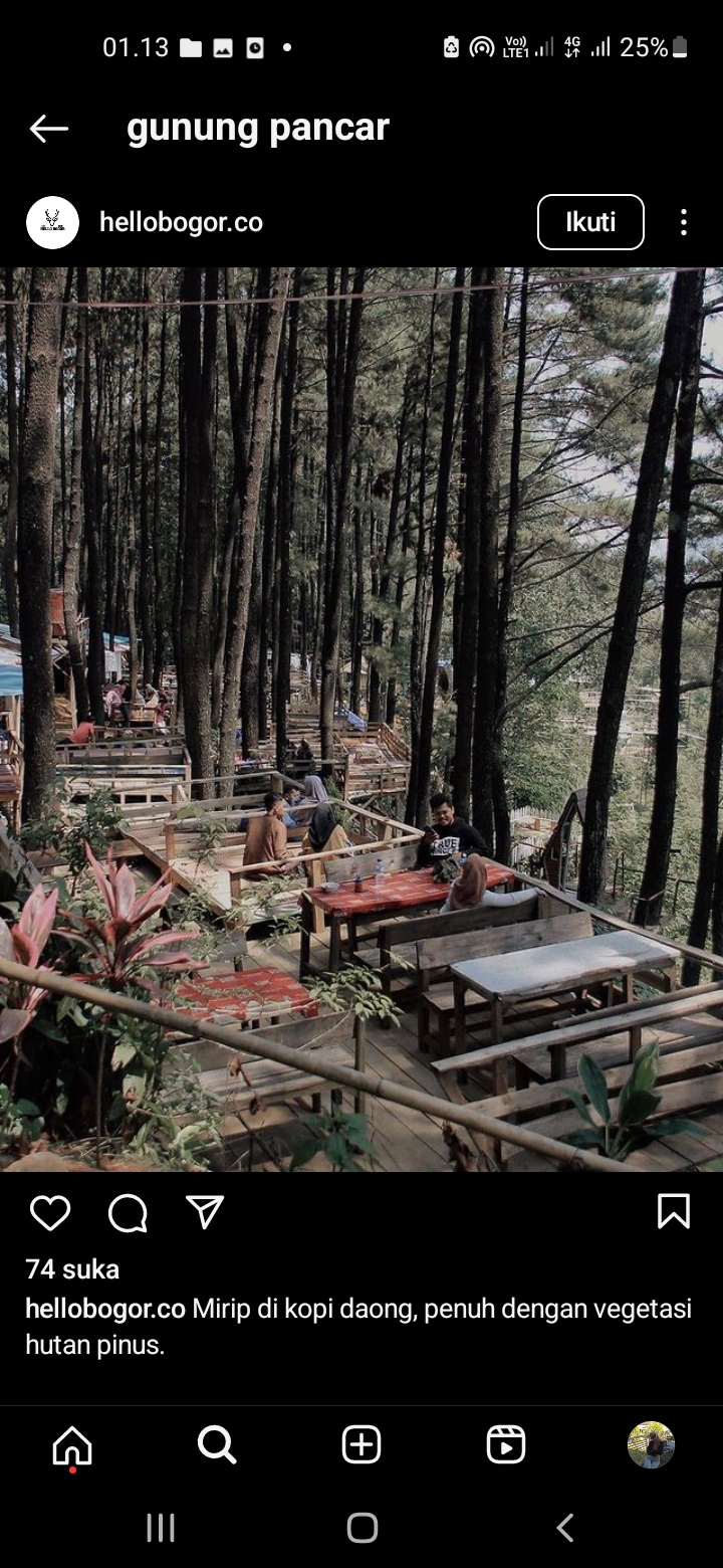 Spot Hutan Pinus Gunung Pancar