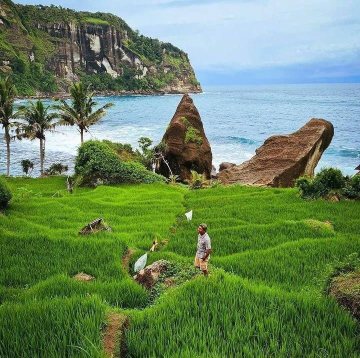 Rute Seru Menuju Pantai Pangasan Pacitan