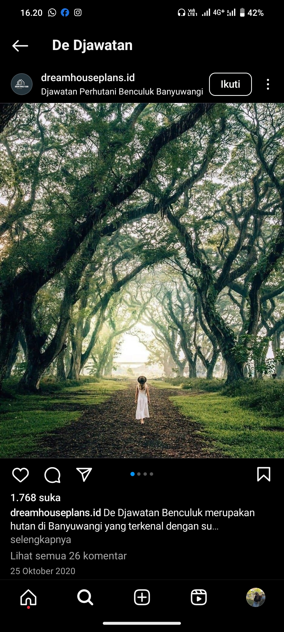 Hutan De Djawatan, Banyuwangi