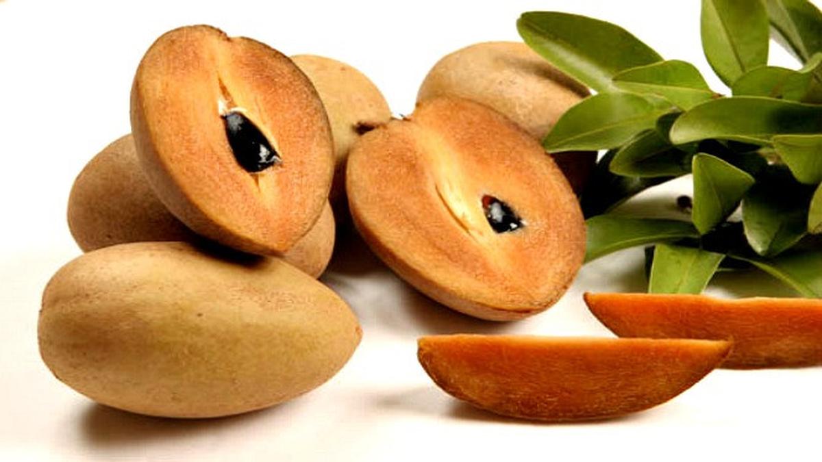 Manfaat Buah Sawo