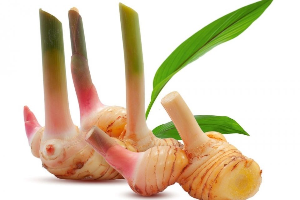 Manfaat Lengkuas untuk Kesehatan