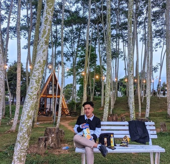 Puncak Ratu Pamekasan dengan view Pepohonan Sengon