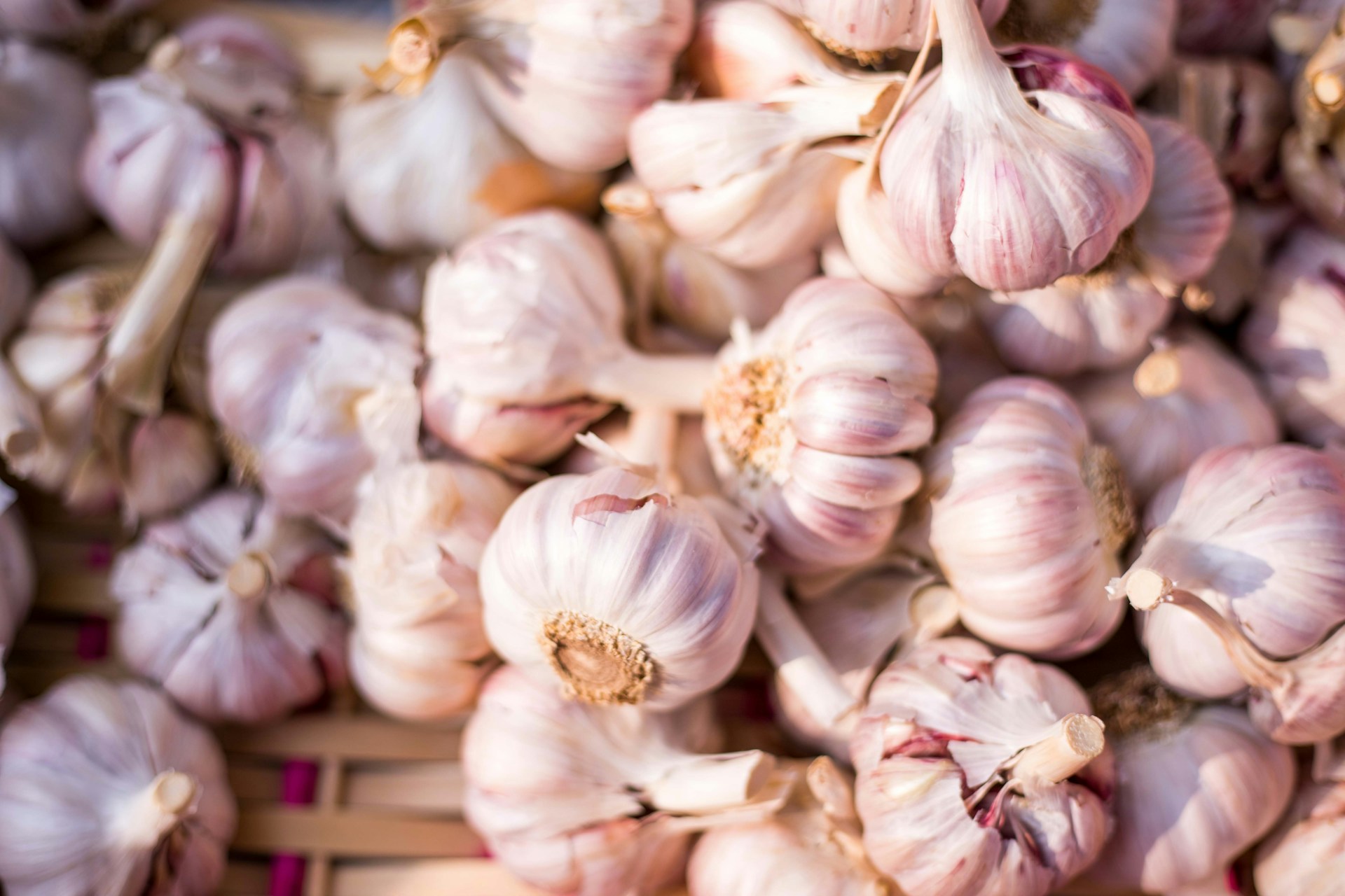 manfaat bawang putih bagi kesehatan
