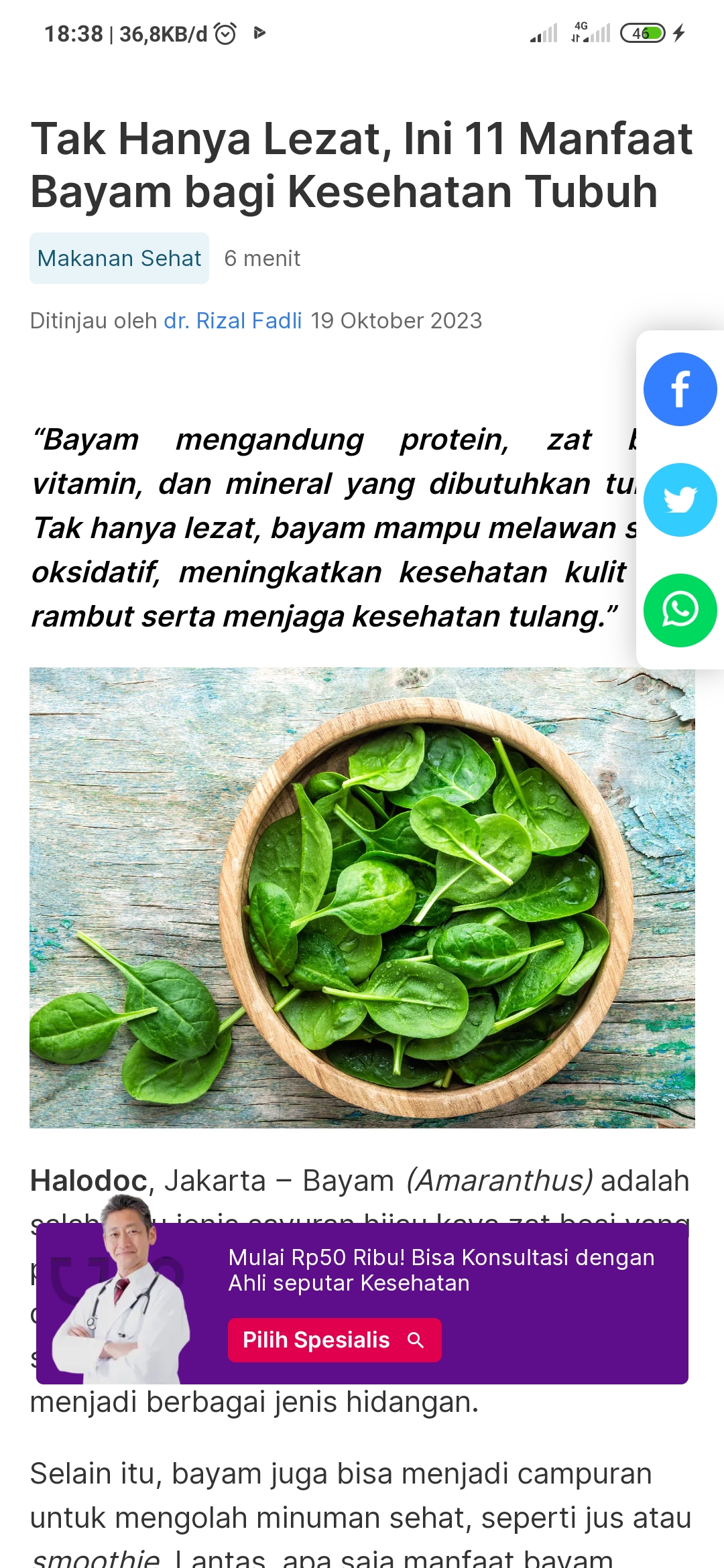 Bayam dengan berbagai manfaatnya