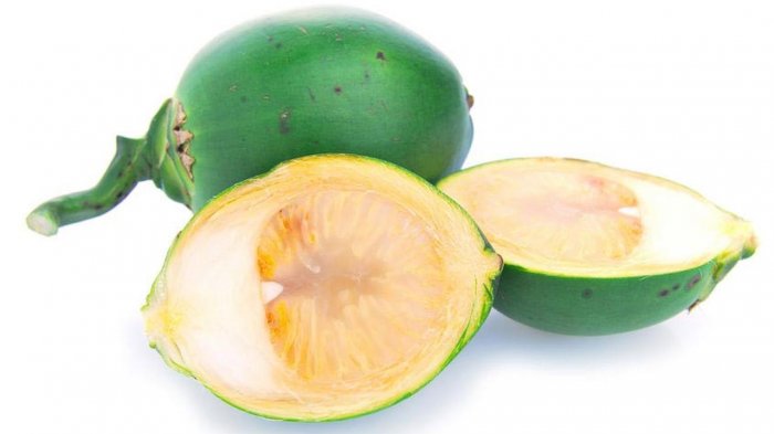 Khasiat buah pinang muda untuk pria