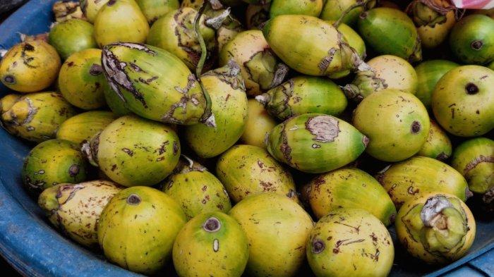 Khasiat buah pinang muda untuk wanita