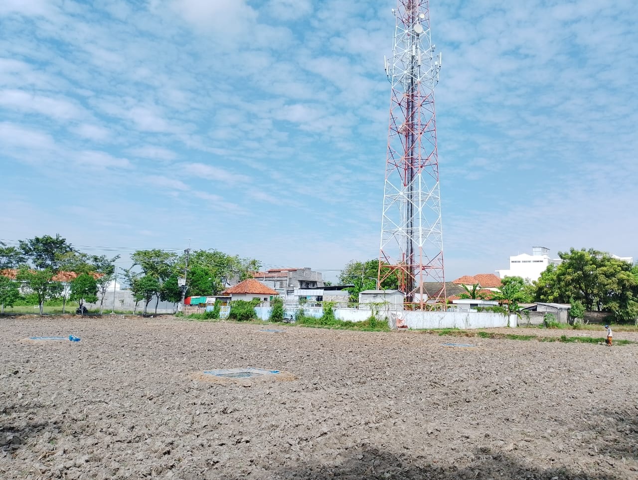 BERCOCOK TANAM: Disperta KP Sampang belum menyalurkan bantuan pupuk NPK dan ZK.