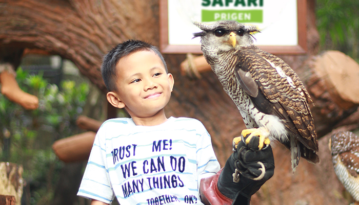 Taman Safari Indonesia 2 menjadi menawakan liburan hebat bersama keluarga