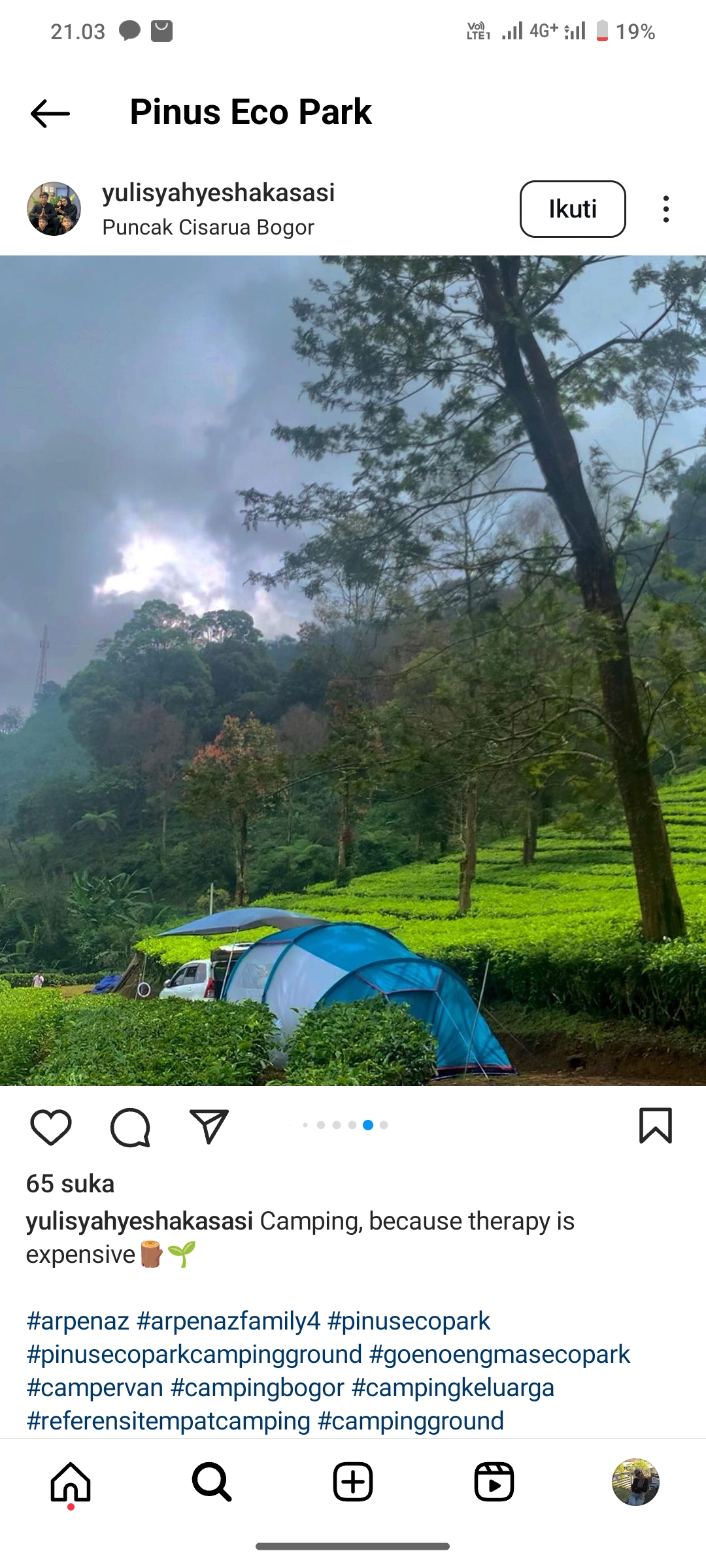 Pinus Eco Park