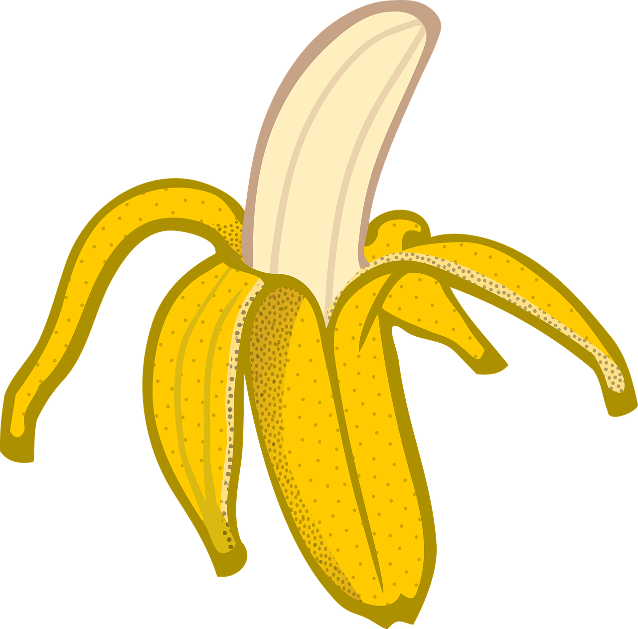 pisang ambon banyak mengandung nutrisi yang baik bagi penderita asam lambung